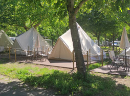 Pod